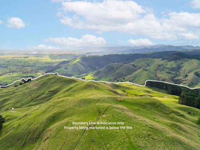 274Ha SHEEP, BEEF AND FORESTRY OPTIONS