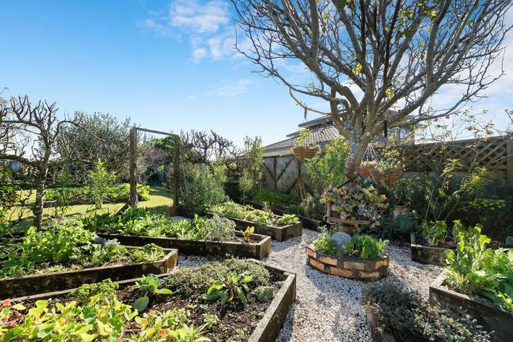 4 Island Vsta Athenree_15