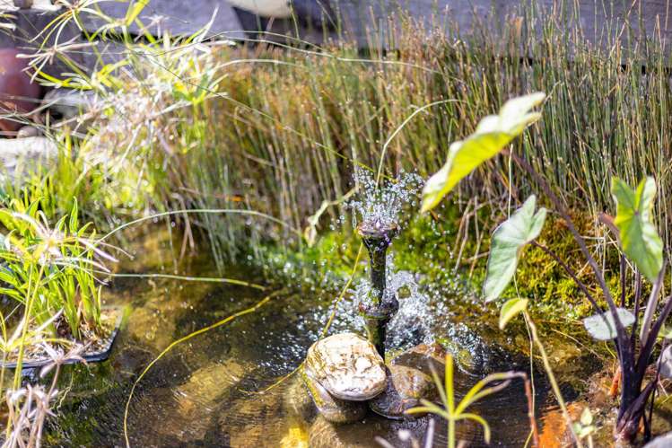 93 Gibson Lane Te Awamutu_37