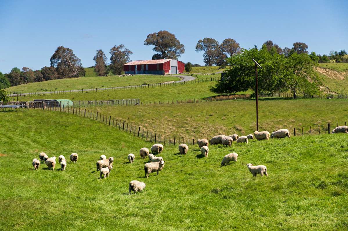 Lot Lot 2 DP 578365, Poynter Road_2