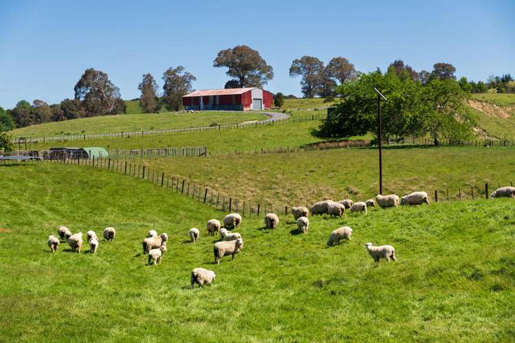 Lot Lot 2 DP 578365, Poynter Road Te Karaka_6