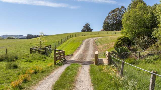 57 Nonoti Road Cheviot_3