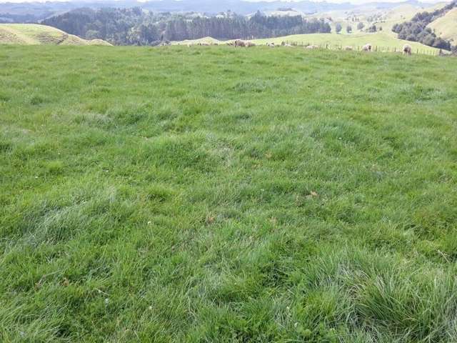 446 Stanley Road Te Popo_2