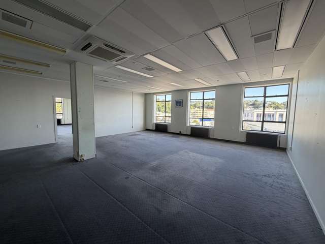 T3B/215 Hastings Street Napier South_3