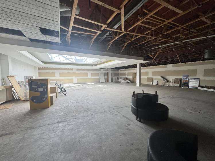 57 Dickens Street Napier South_5