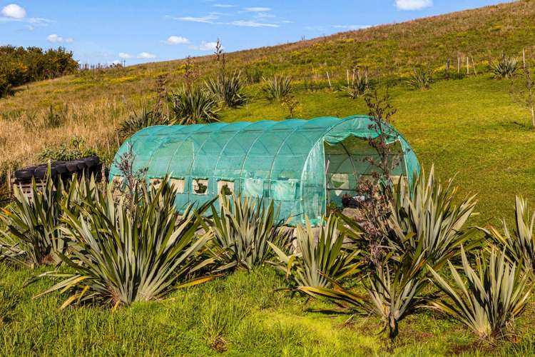 37 Okahu Downs Drive Kaitaia_23