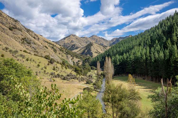 1180 Tyntesfield Road Waihopai Valley_3