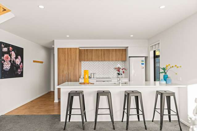 52b Picton Avenue Riccarton_2