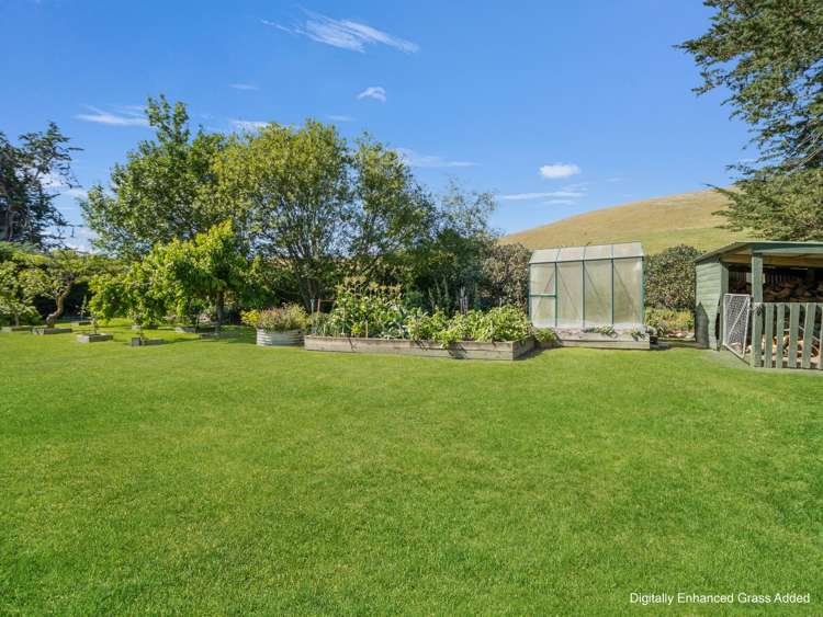 49 Princes Street Waikari_7