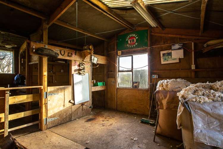 156 Wyllie Road Warkworth_33