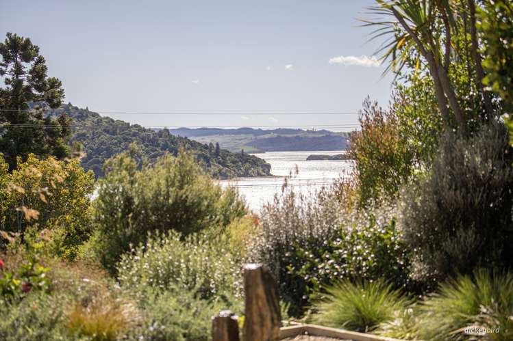 105 Greenslade Road Raglan_22