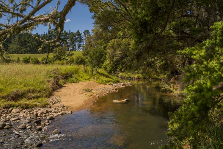 220 Mill Creek Road Kaimarama_17