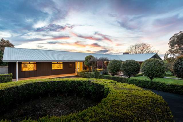 Splendour on the Hill