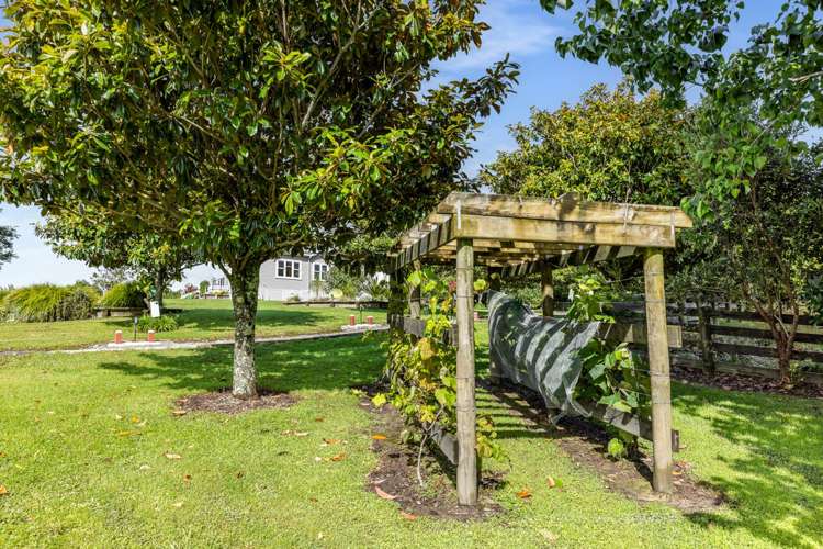 561 Settlement Road Kaiwaka_39