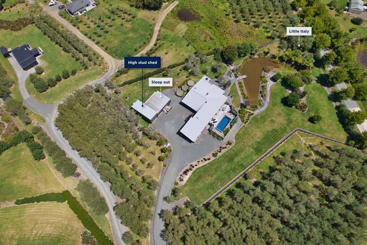 458a King Road Mangawhai_30