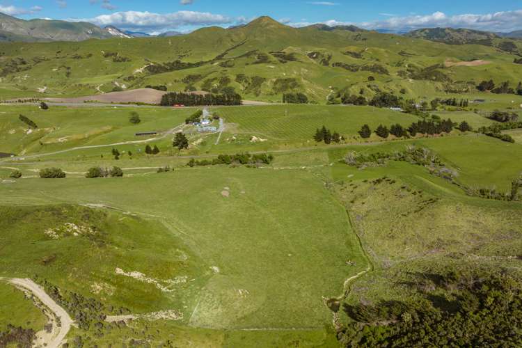 7797 State Highway 1 Ward_9