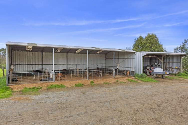 95 Mairoa Road Piopio_3