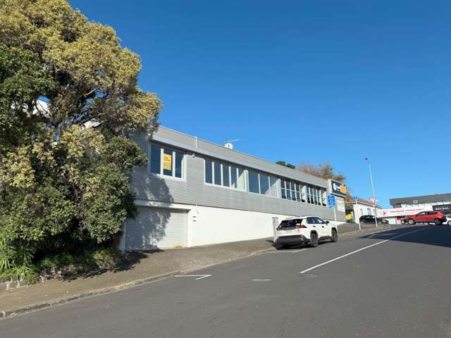 98 Newton Road Eden Terrace_2