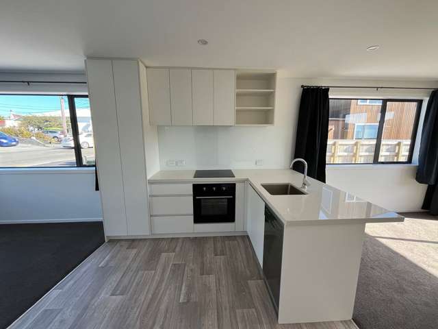 1/96 Washington Avenue Brooklyn_3