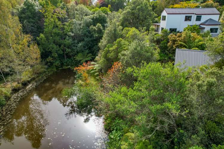 87 Pine Hill Road Ruby Bay_5