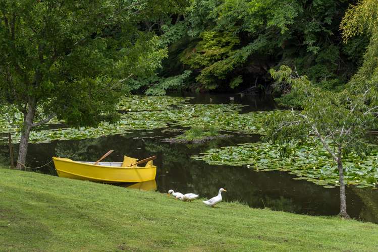 403 Hamurana Road Ngongotaha_14