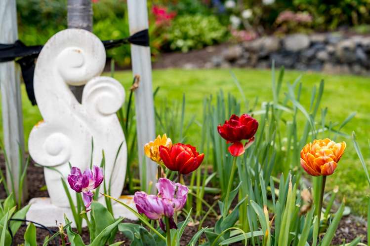 249 Taieri Road Wakari_32