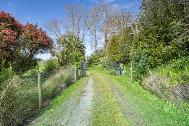 847B Pouto Road Te Kopuru_4