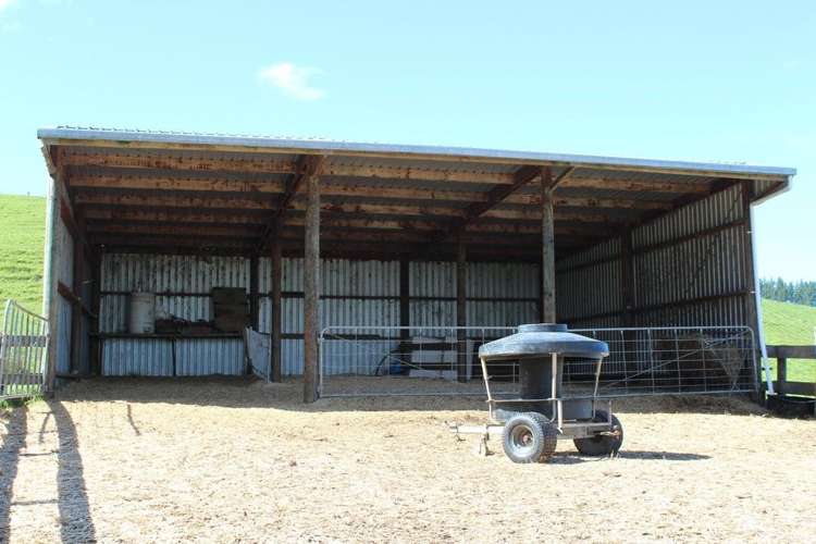 354 Tapuhi Road Hukerenui and Surrounds_10