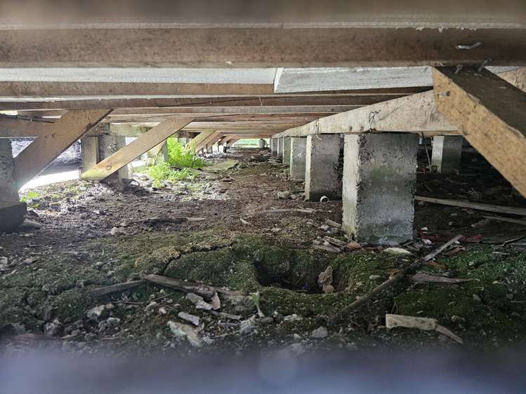 72 Somerled Avenue Dunollie_19