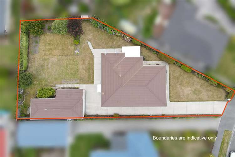 8 Wingate Street Redwood_1