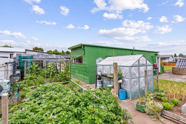 17 Martin Harvey Street Levin_17