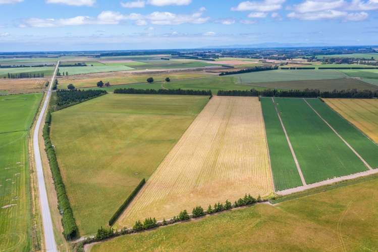 Waireka Road Darfield_11