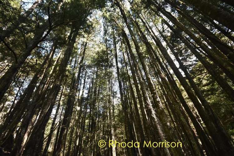 280 Central Road Mareretu_23