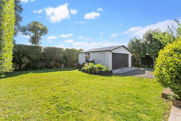 8 Harwood Street Sandringham_6