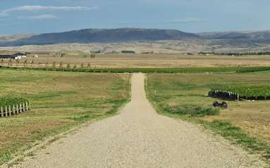 Lot 35 McArthur Road_2