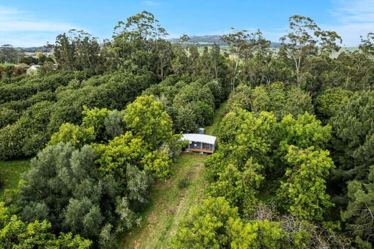 8 Draffin Road Poroti_20