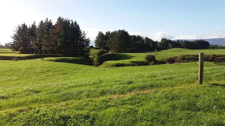 7917 State Highway 27 Matamata_8