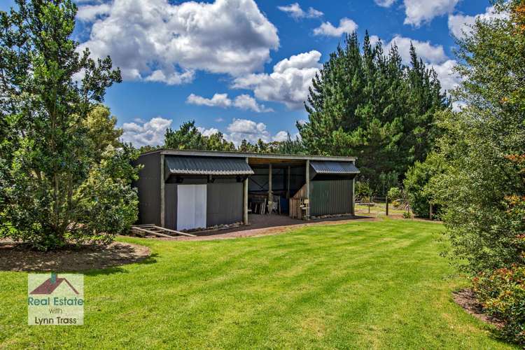 464 Vinegar Hill Road Kauri_24