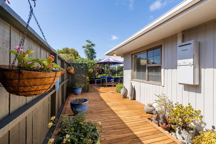 52 Andrew Street Waikanae_13