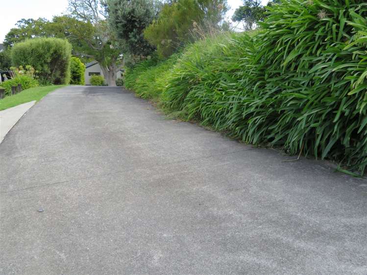 226c Waikiekie Road Thames_17