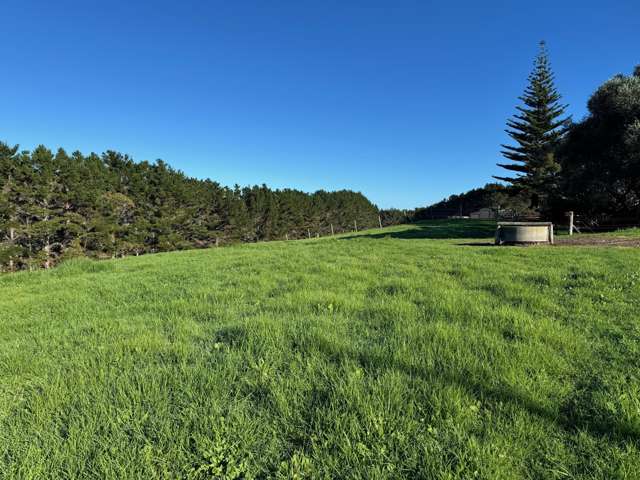 47 Kai Iwi Lakes Road Dargaville_2
