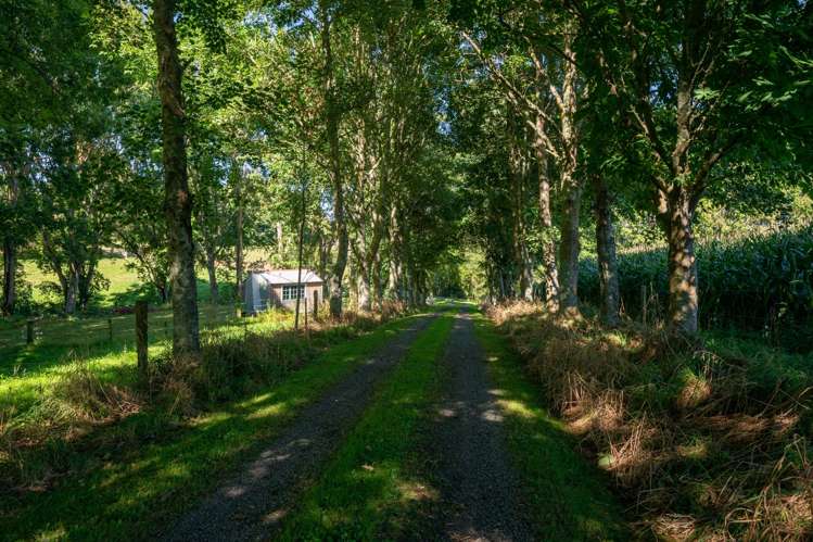 1830 State Highway 30 Horohoro_33