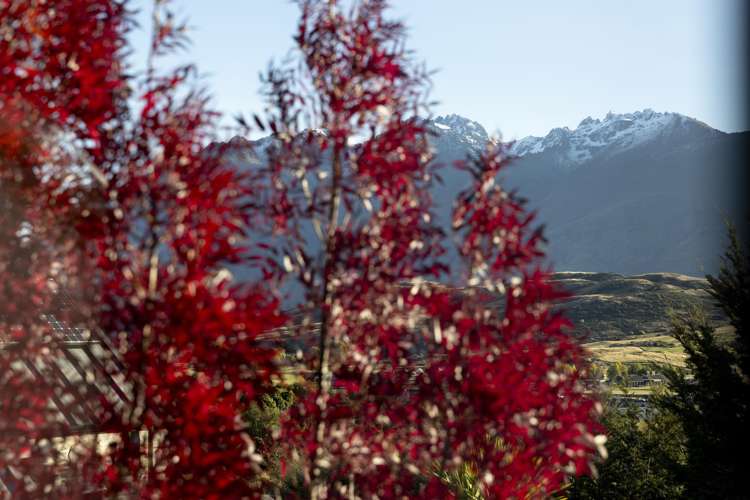 3 McKellar Drive Jack's Point_23