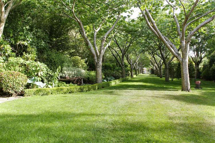 750 Wairakei Road Burnside_10