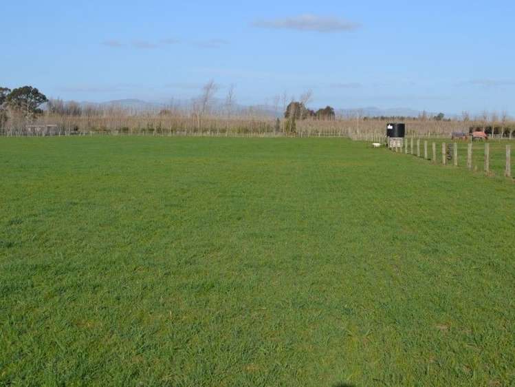 304 Springston Rolleston Road Rolleston_14