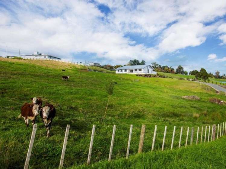 11 Prictor Road Wellsford_17