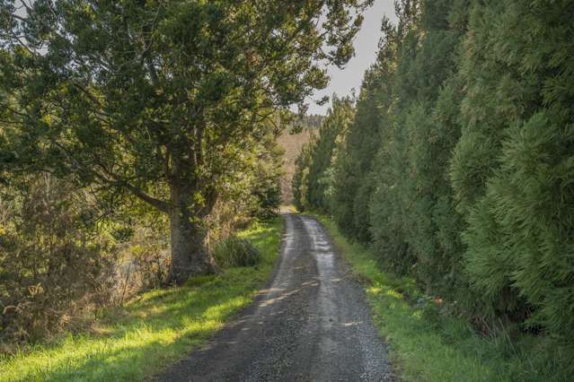 1878 The 309 Road Kaimarama_3