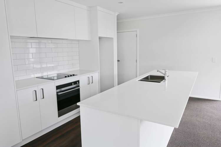 34 Castletown Street Wallaceville_1