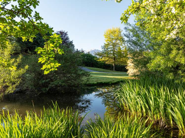 547 Speargrass Flat Road Dalefield/Wakatipu Basin_5