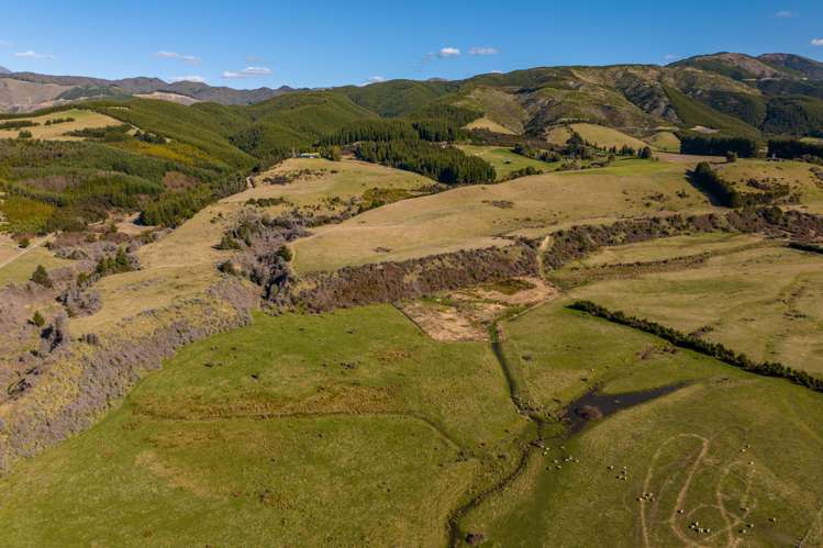 5969 State Highway 63 Wairau Valley_27